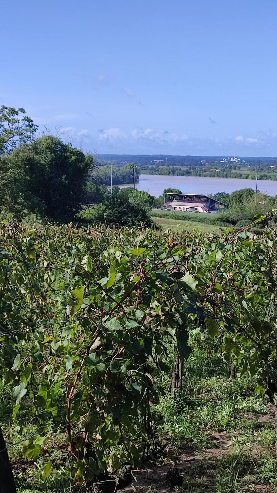 Maison Charmeilles - La Suite Pomerol Fronsac  Екстер'єр фото